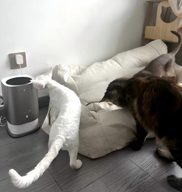 1761186714578979.jpg 微信图片_20250813140352(1)(1).jpg